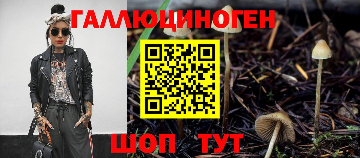 Псилоцибиновые грибы ЛСД Артёмовский