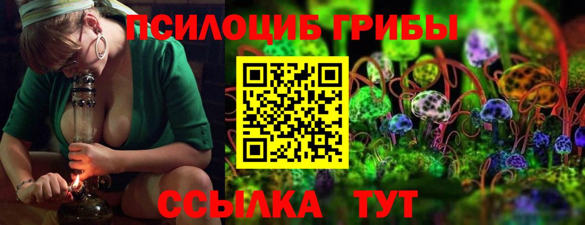Псилоцибиновые грибы Psilocybine cubensis  Вход с VPN  Артёмовский 